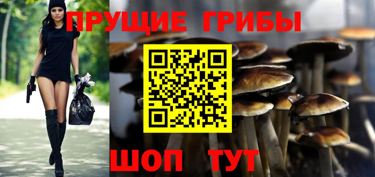COCAIN Советск